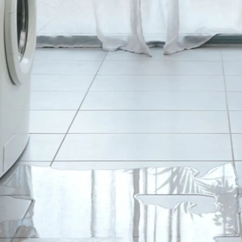 Appliance Leak Cleanup in San Antonio, FL