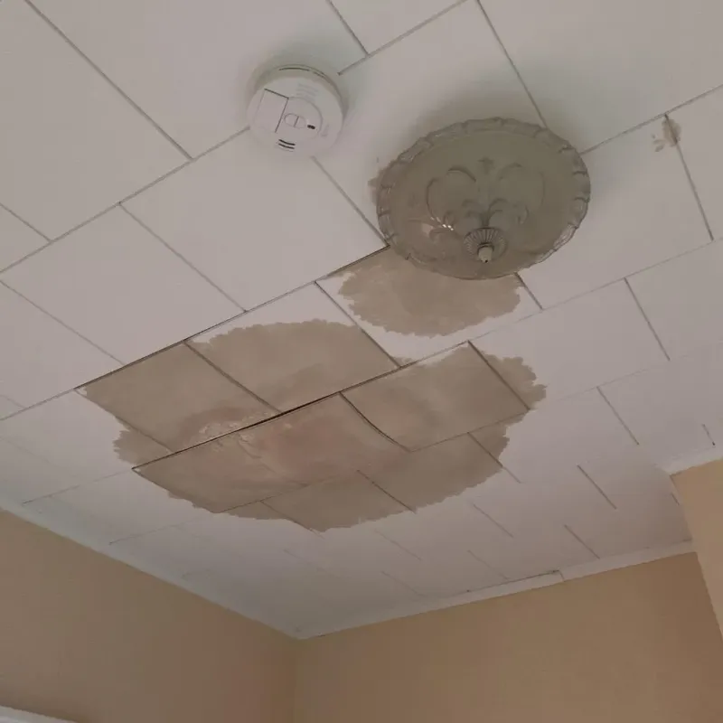 Ceiling Water Damage Repair in San Antonio, FL