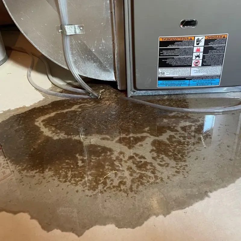 Pipe Burst and Leak Restoration in San Antonio, FL