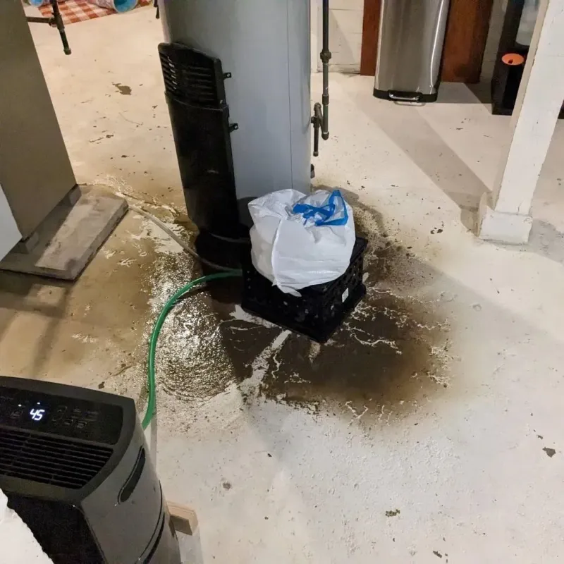 Sewage Backup Cleanup Service in San Antonio, FL